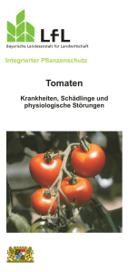 Die Publikation als PDF 582 KB - Bayerische Landesanstalt für