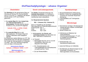 Stoffwechselphysiologie – advance Organizer