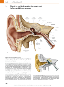 9.1 Übersicht und äußeres Ohr (Auris externa): Aufbau und