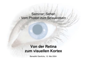 Von der Retina zum visuellen Kortex - Homepage.ruhr-uni