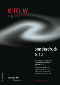 Sonderdruck 6 13