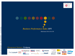 Management Summary - Business Performance Index