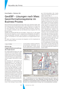 Geoinformationssysteme im Business-Prozess