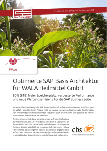 Optimierte SAP Basis Architektur für WALA Heilmittel GmbH