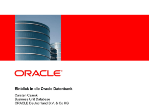 Einblick in die Oracle Datenbank