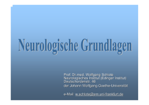 Neurologische Grundlagen - Goethe