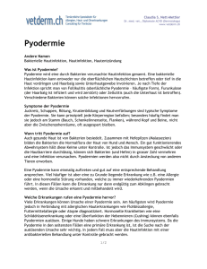 Pyodermie / bakterielle Hautinfektion