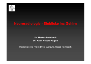 Neuroradiologie - Gehirn