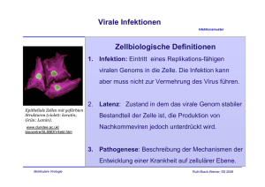 Virale Infektionen Zellbiologische Definitionen
