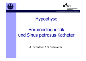 Hypophyse Hormondiagnostik und Sinus petrosus