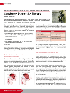 Symptome – Diagnostik – Therapie