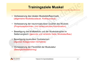 Trainingsziele Muskel - BSA