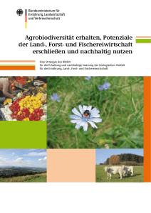 Strategiepapier Agrobiodiversität