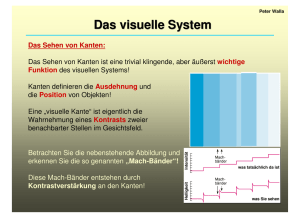 Das visuelle System