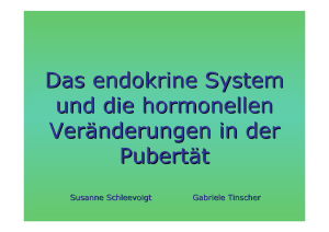 Das endokrine System und die hormonellen Veränderungen in der
