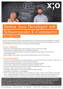 Senior Java Developer mit Schwerpunkt E-Commerce