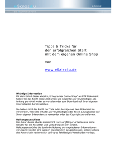 „Erfolgreicher Online Shop“ als PDF