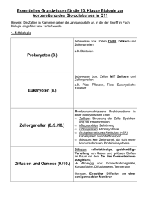PDF-Download - Helene Lange Gymnasium Fürth