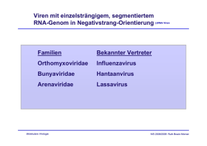 Viren mit einzelsträngigem, segmentiertem RNA