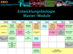 Ebio Mastermodule 2015-16 - Lehrstuhl für Entwicklungsbiologie