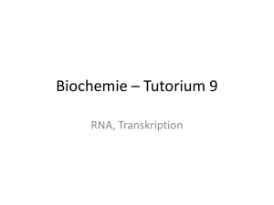 Biochemie – Tutorium 9