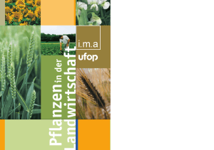 Pflanzen - ima - information.medien.agrar eV