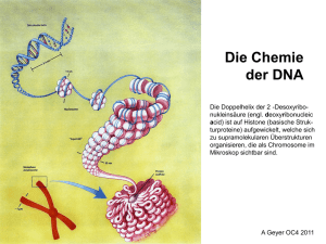 DNA + Präbiotische Chemie
