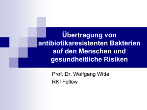 Prof. Dr. Wolfgang Witte Übertragung von