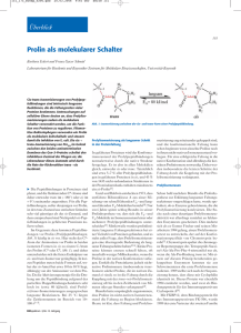 Prolin als molekularer Schalter