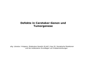 Defekte in Caretaker-Genen und Tumorgenese