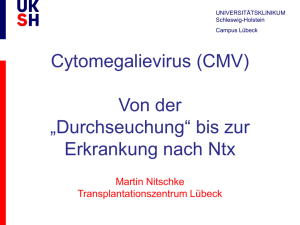 CMV-Studien in Lübeck