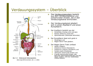 Verdauungssystem – Überblick - pflegesoft.de