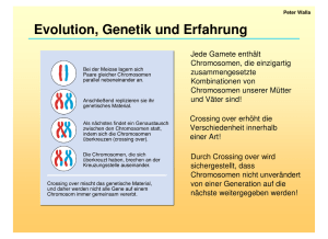 Evolution, Genetik und Erfahrung