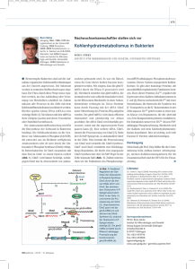 Kohlenhydratmetabolismus in Bakterien