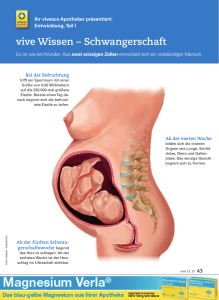 vive Wissen – Schwangerschaft - pk