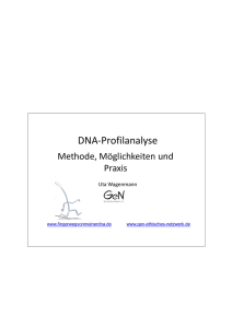Methode der DNA-Profilanalyse und die Funktionsweise der