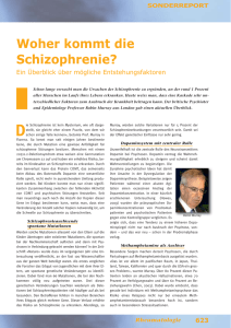 Woher kommt die Schizophrenie?
