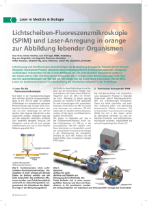 Lichtscheiben-Fluoreszenzmikroskopie (SPIM) und Laser