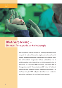 DNA-Verpackung - Helmholtz Zentrum München