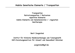 Mobile Genetische Elemente / Transposition