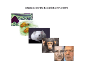 Organisation und Evolution des Genoms