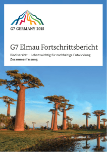 G7 Elmau Fortschrittsbericht 2015