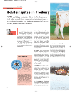 Holsteinspitze in Freiburg (pdf / 952 KB)