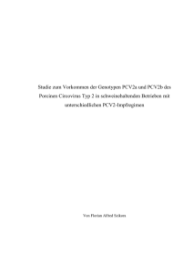 Studie zum Vorkommen der Genotypen PCV2a und PCV2b des