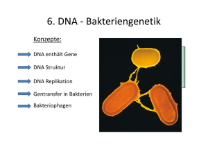 6 DNA - Bakteriengenetik 6. DNA Bakteriengenetik