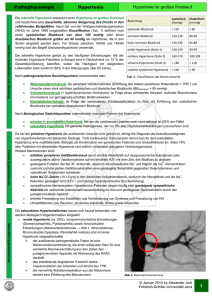 Arterielle Hypertonie - alexander