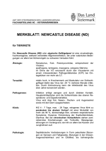 merkblatt: newcastle disease (nd)