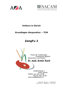Koch Skript ZangFu2 Milz Leber