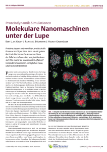 Proteindynamik-Simulationen Molekulare Nanomaschinen unter der