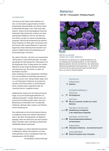 Bakterien - Friedrich Verlag